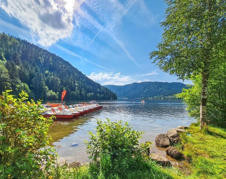 Laveline-du-Houx Gite Spa "La Foret Argentee" Proche Gerardmer מראה חיצוני תמונה
