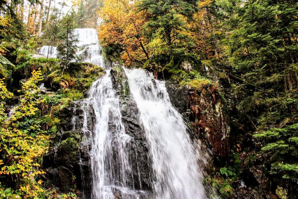 Laveline-du-Houx Gite Spa "La Foret Argentee" Proche Gerardmer מראה חיצוני תמונה